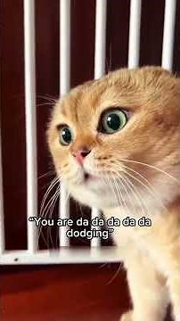 Cats Speaking Human... AGAIN?! 😹 | You Can't Tell Me That Wasn't English #shorts #cat #catshorts