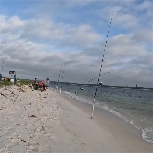 200 pound Fish Pulls my rod in the Ocean ! | Yakin With Jack