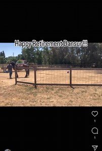 198K views · 8.8K reactions | After dedicating 9 years to the...