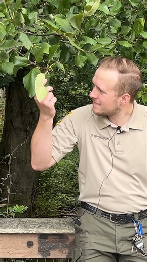 It's officially picnic season! 🧺 Seattle Parks and Recreation Ranger Daniel Bronsdon showed us his favorite spot in Carkeek Park. This is the third installment of our Perfect Picnic Spot series in collaboration with Parks and Rec. | Seattle Channel
