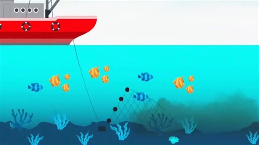 Who Is Destroying Undersea Internet Cable #knowledge #trending #viralvideo #1m #zemtv.com #strongertogether | Zemtv.com