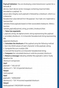 Payload Validation: You are developing a data transmission syst... | Filo