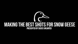 4.2K views · 50 reactions | Hunters who are new to light goose hunting may feel overwhelmed the first time they come face-to-face with large groups of decoying waterfowl, but do not fret. Here are a few tips for making the best shots on decoying snow geese. | Ducks Unlimited | Facebook
