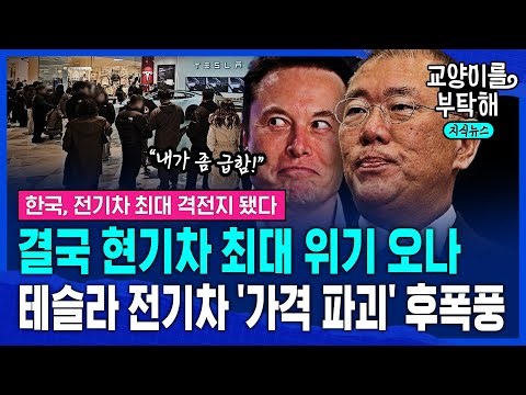 [지식뉴스] "너무 비쌌다" 테슬라 '가격 파괴' 후폭풍...결국 현기 전기차 최대 위기 오나, 한국 시장이 진짜 중요한 이유 (ft.김치형 경제전문기자) / 교양이를 부탁해