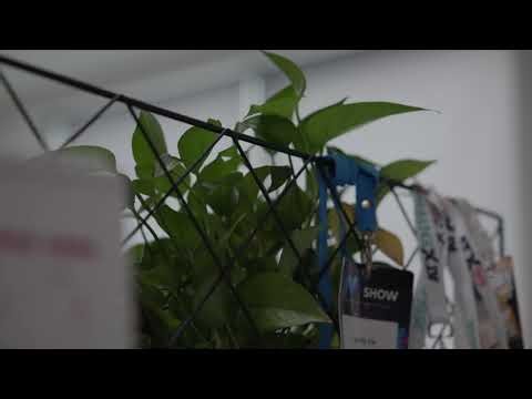 Canon C80 Full Menu Walkthrough in Chinese and English