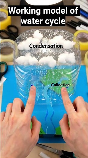 watercycle working model #biologybasics #sciencemadesimple #biology #aishorts