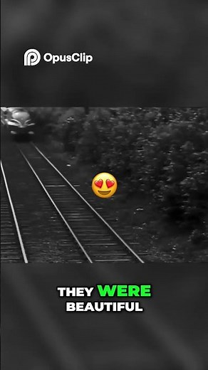 Coronation Scot - The Rise and Fall of Streamlined Steam #LMS #CoronationClass, #railway #fyp