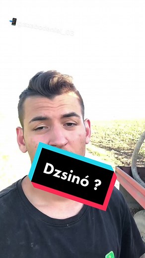 Szabó Dániel a TikTokon