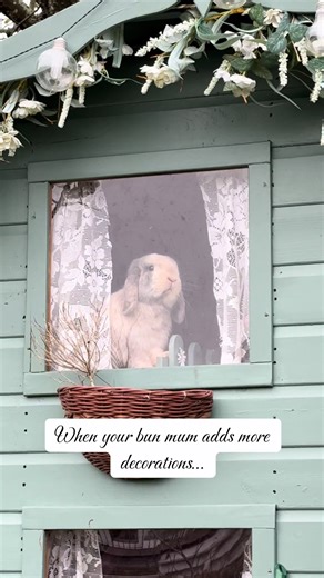Creative Bunny House Decorations for Your Pets