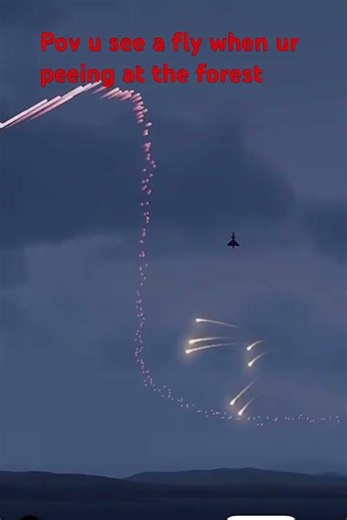 Fly incident #funny #relatable