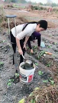 Chinese RAK amputee one leg woman working in the field on one crutch