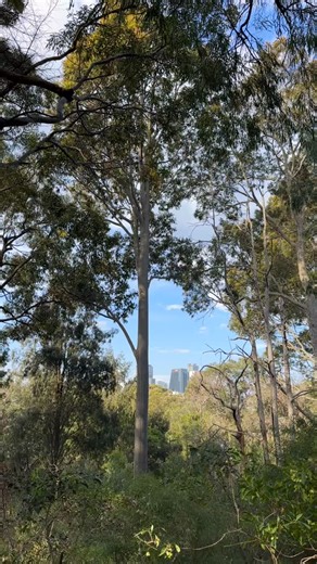 northsider magazine on Instagram: "What’s on this long weekend? We’ve got some northside inspo for you right here! Tap and hold to pause the reel and deets all in caption too. Enjoy the sunshine and don’t forget to change your clocks for daylight saving!⁠ ☀️ ⁠ Friday⁠ • Kids’ author meet up, Funny Kid ‘Seriously Soccer’ with Matt Stanton, Gordon Library, suitable for 8-12 years, 5.30-7.15pm⁠ • Taronga After Dark: Lantern-Lit Trails, Live Music and Wildlife Under the Stars, Taronga Zoo, Mosman, 5