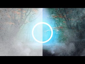 Invert Adjustment (Affinity Photo)