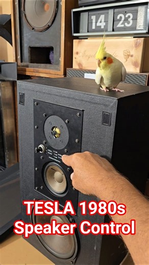 80s Vintage TESLA BOOKSHELF SPEAKERS Speaker Crossover Sound Test