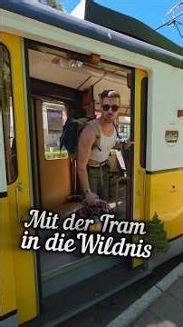 🌲🚋🌲Mit der Tram in den 🥾Nationalpark #travelgermany #travelguide #wanderlust #saxonswitzerland