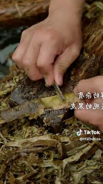 Master Paper Making: Ancient Chinese Craft Techniques