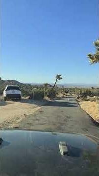 Blackrock Campground JTNP #california #joshuatree #camping #joshuatreenationalpark