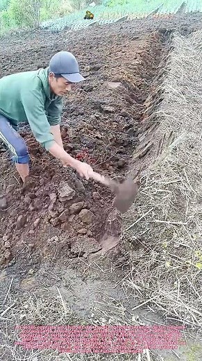 🌾 La pelle et le sillon : L’effort du paysan pour aérer la terre