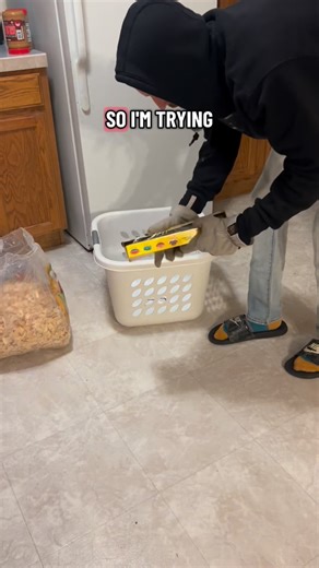 Update on my Hen Kenzie. #chicken #vs #hawk | Jb Squires