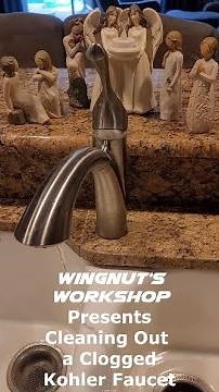 008 Cleanout Clogged Kohler Faucet