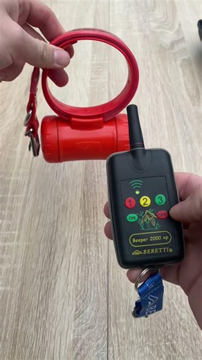 Remote dog positioning and alert device