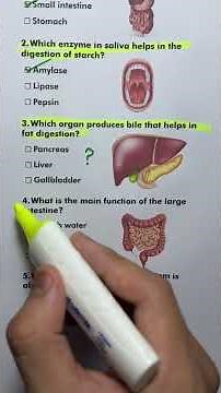 digestive system quiz | can you get 5/5 ? #quiz #anatomy