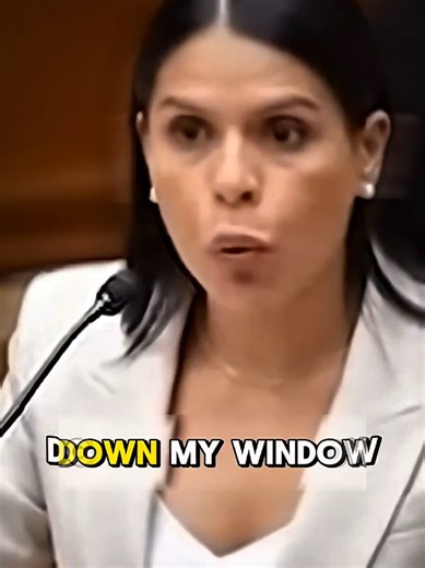 ICE profiled a lawyer in her own driveway. They lost everything.. #viral #foryou #viralvideo