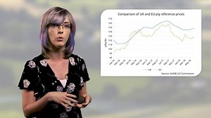 In this edition of Pork Talk, we look at some factors that might be influencing UK and EU pig prices, and what they might mean moving forwards. https://www.youtube.com/watch?v=7uZN20iNEvk | AHDB Pork