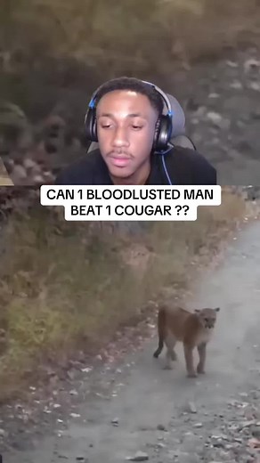 Surviving a Cougar Encounter: Tips and Reactions