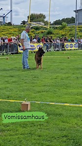 Ugos Du Parc A Mitrailles V: ASAP Von Aldamar German shepherds 🥰❤️😍 #dog #baby #pet #protection #fypシ゚ Germany 🇩🇪 2025 | Vom Issam Haus