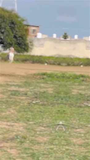 Ustad Maher Ibrar from Sahiwal on TikTok