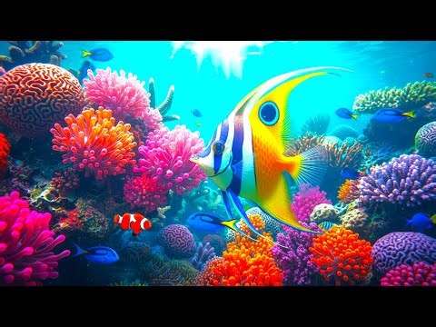 🌊 FX Relaxing Aquarium 4K, Peaceful Piano Music to Let Go of Stress and Find Stillness