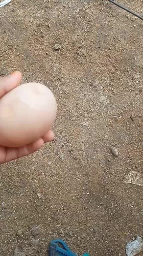 Cracking an Egg: A Step-by-Step Visual Guide