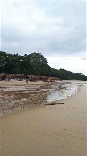 ilha de outeiro praia de São João Pará brasil norte amazônia 🇧🇷🌳🌴