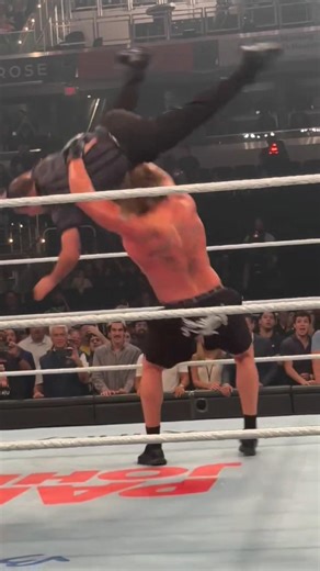 Brock Lesnar attack The Referee #wwe