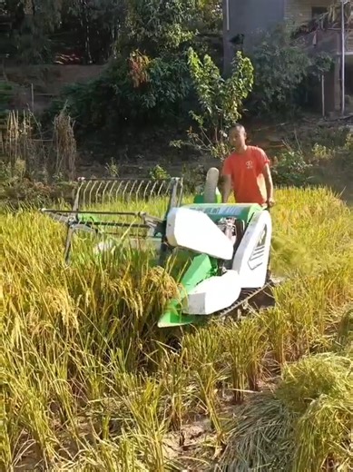 Ready Mesin Panen Padi Combine Harvester Mini Penggerak Diesel Harga 5.950.000 Mesin ini dirancang untuk lahan sawah berlumpur dalam. Mesin pemanen padi, potong padi lalu padi masuk karung Spesifikasi Produk : • Kerugian rendah • Efisiensi perontokan tinggi • Kerusakan biji-bijian rendah • Manuver tangkas • Hemat bahan bakar • Perpindahan gigi kecepatan : lambat, cepat, netral, mundur (2 maju, 1 mundur) • Dengan mesin diesel • Digunakan untuk memanen padi • Mesin : 192F diesel • Rated power (hp)