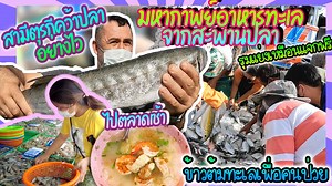 86K views · 6.7K reactions | ตามล่าหาของทะเลราคาถูกที่สะพานปลาเช้าแสมสาร จ่ายตลาดเช้าทำ"ข้าวต้มทะเล"ให้คนป่วยโควิดกิน | บ้านไร่ตุรกี Baan rai Turkey | Facebook