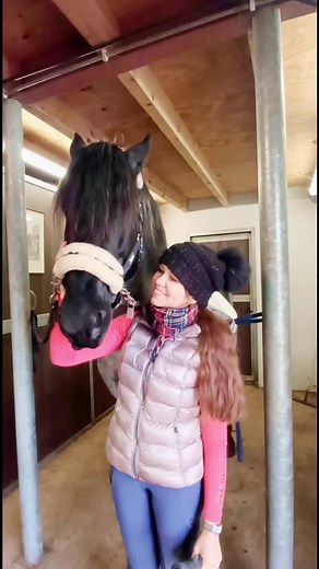 Today Leanne from Gaston Mercier Sellier came to my stable to try out new products on my Grand Prix stallion Carletto #gastonmercier | Jolanda Adelaar Dressage