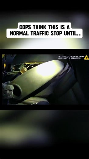 Police Pull Over a Car for a Routine Stop — What They Find Next Leaves Them Frozen! Watch full video: https://copsauditor.com/police-pull-over-a-car-for-a-routine-stop-what-they-find-next-leaves-them-frozen/ | Cops Prevention4