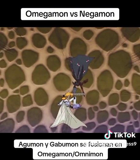 Omegamon vs Negamon - An Epic Digimon Battle!