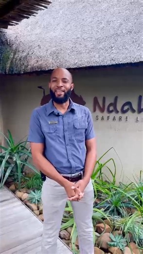 35K views · 114 reactions | Stay connected with us on Facebook for updates on our day at Ndaka Safari Lodge ! | Newcastle Advertiser | Facebook