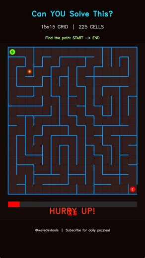 Maze Puzzle for improve focus | Can You Solve? #shorts