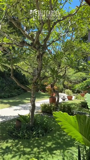 Bring the whole family and make the most of your Bali getaway! 👨‍👩‍👧‍👦✨ Our villa offers spacious comfort, privacy, and the perfect setting to relax and reconnect. Why settle for less when you can have it all? Your dream vacation awaits, book now! www.baligardenbeachresort.com #baligardenbeachresort #funactivities #balivibes #familyfun #baliexperience #balihotel #balivibes #baliexperience #baligetaway #BaliHoliday | Bali Garden Beach Resort
