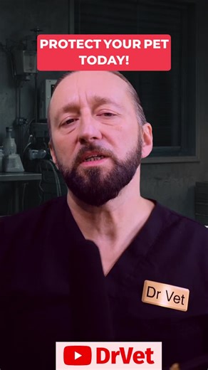 As a responsible pet owner, it's crucial to know how to protect both yourself and your pet. In this clip, we share practical tips on what questions to ask your vet, how to navigate prescriptions, and the importance of understanding your insurance options. Don't leave your pet's health to chance!#PetCare #PetOwnerTips #VetAdvice #PetHealth #Insurance