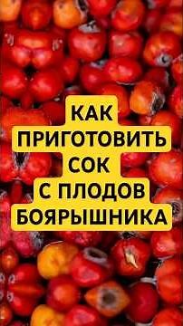 Сок из боярышника и как приготовить