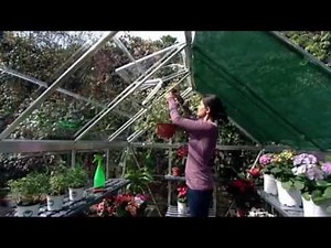 Palram - Canopia | Nature Series Greenhouses - Clear
