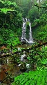 🌿 Happy Jazz Piano ☕ | Music That Instantly Lifts Your Mood #jazzpiano #relaxnightjazz