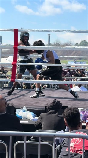 Jiggy's Victory: Next Steps for the GBC Fight Team