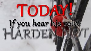 The Unpardonable Sin