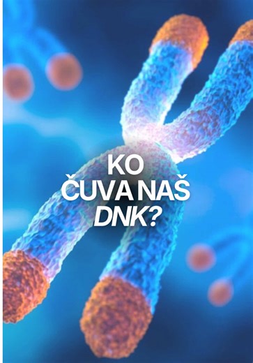 Većina nas misli da stari telo. U stvarnosti - stare naše ćelije. Svaka naša ćelija ima biološki sat - Telomere!🕦 Kako se ćelije dele, telomere se skraćuju. Šta se dešava kada se previše skrate? Postoji samo jedan odgovor: Starenje! Zato sledeći put kada pomislimo na starenje, neka nam zdravlje ćelija i očuvanje dužine telomera budu prva pomisao. Purasomes XCELL - produžava dužinu i čuva telomere uz pomoć faktora rasta, antioksidanasa i esencijalnih hranljivih materija iz organskog govedjeg kol